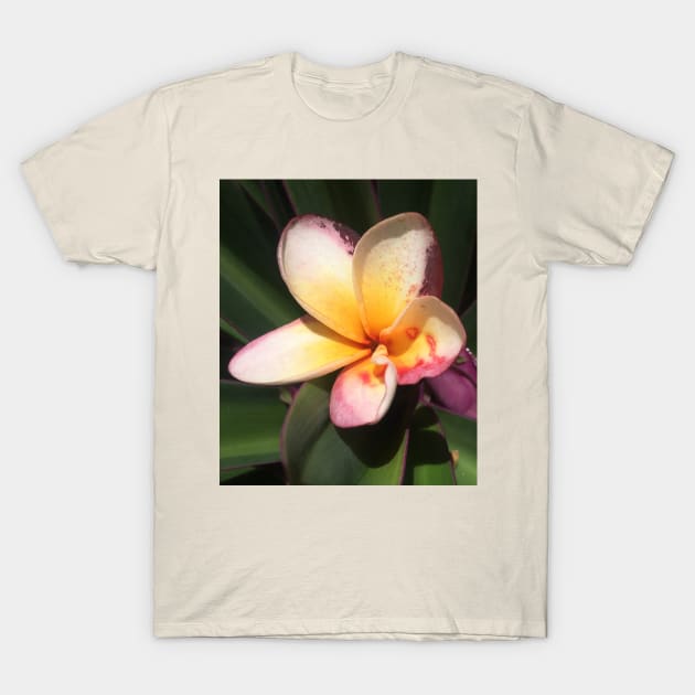 Caribbean Tropical Flower T-Shirt by SoCalDreamin